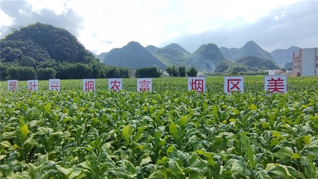 68f08ef46b8e45156f2fffee_m.jpg 68f08ef46b8e45156f2fffee_m.jpg