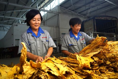 68f204c96b8e45156f302880_m.png 68f204c96b8e45156f302880_m.png