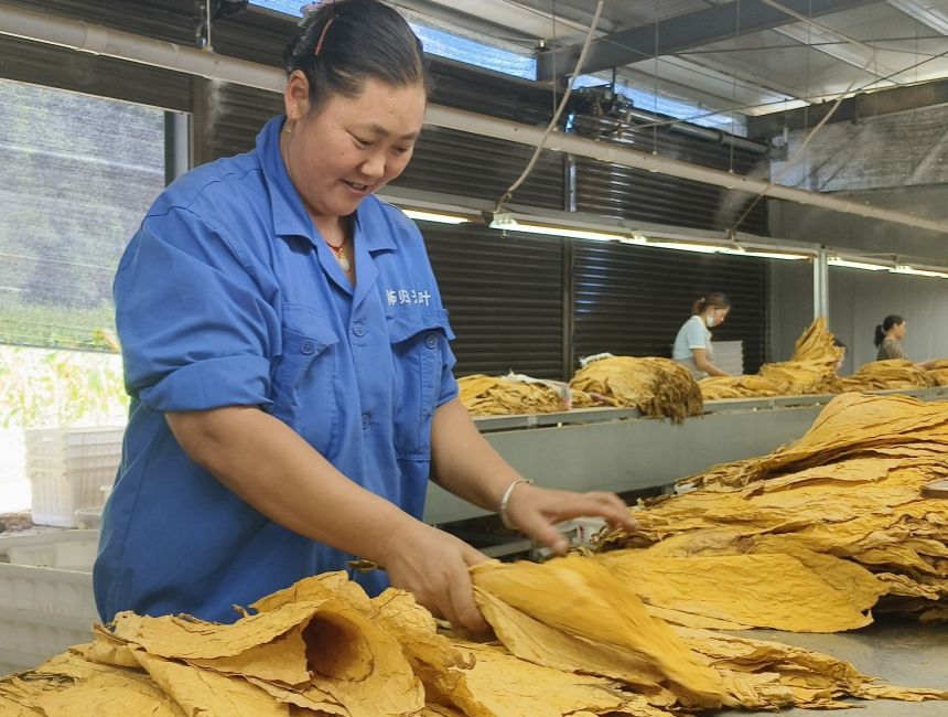 LOCAL1760750739558V5GMVZLYFU.jpg LOCAL1760750739558V5GMVZLYFU.jpg