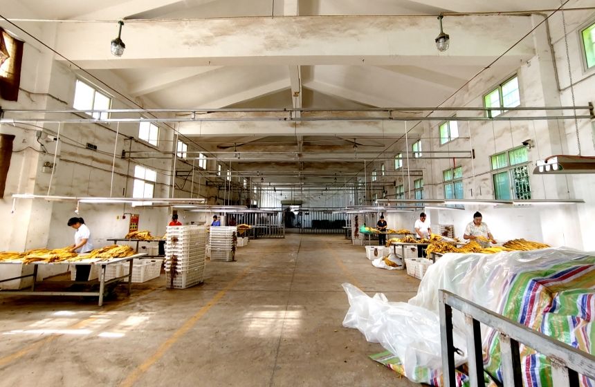 LOCAL1760750739591TN5FJ7E9GC.jpg LOCAL1760750739591TN5FJ7E9GC.jpg