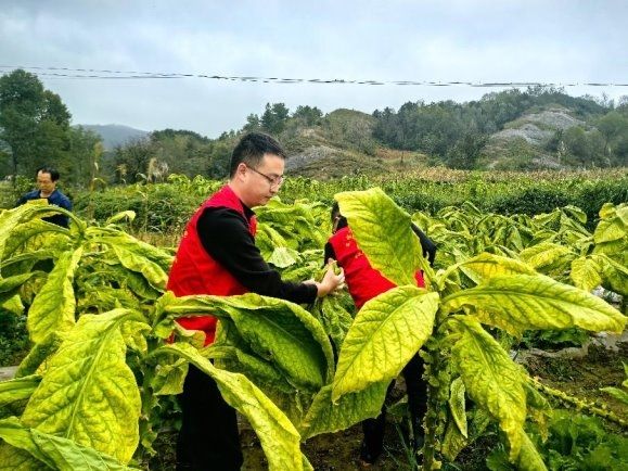 68f5c7e86b8e45156f305be6_m.jpg 68f5c7e86b8e45156f305be6_m.jpg