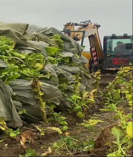 20251020214012554T6033.png 20251020214012554T6033.png