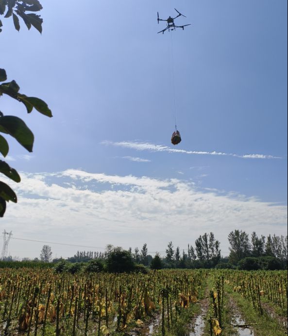 20251020214007966T9282.png 20251020214007966T9282.png