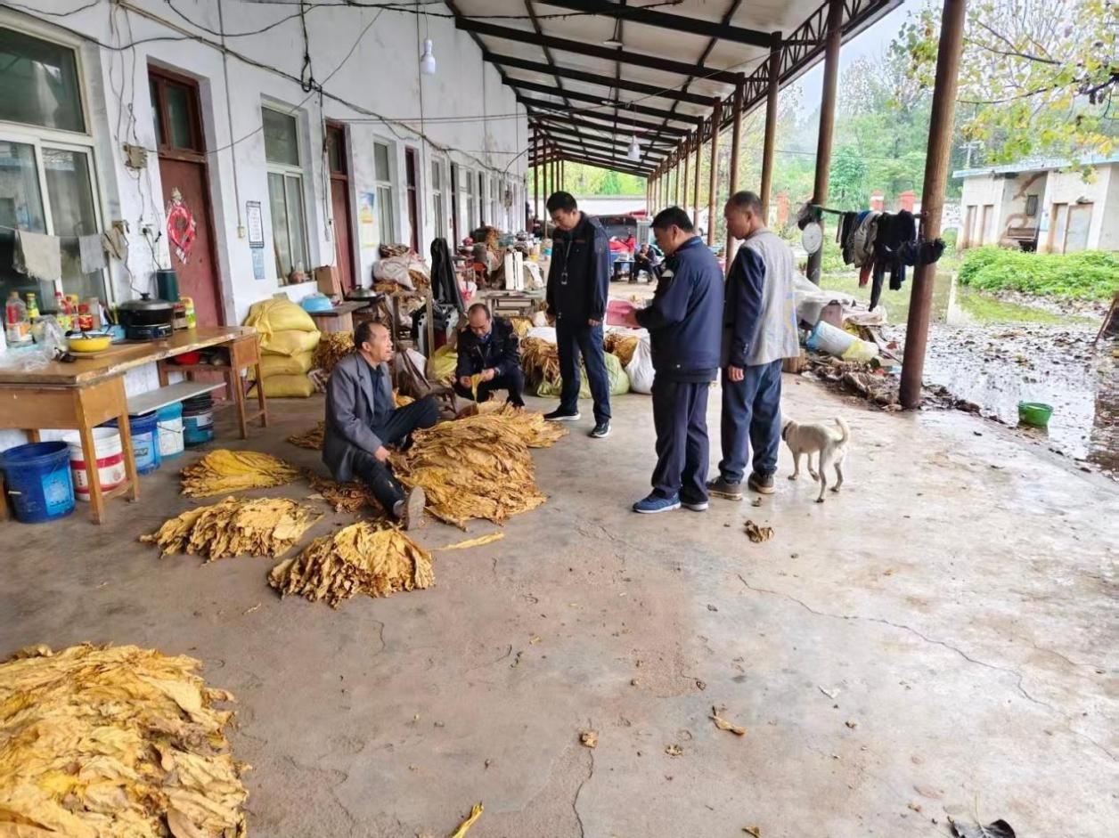 20251017184417840T6977.jpeg 20251017184417840T6977.jpeg