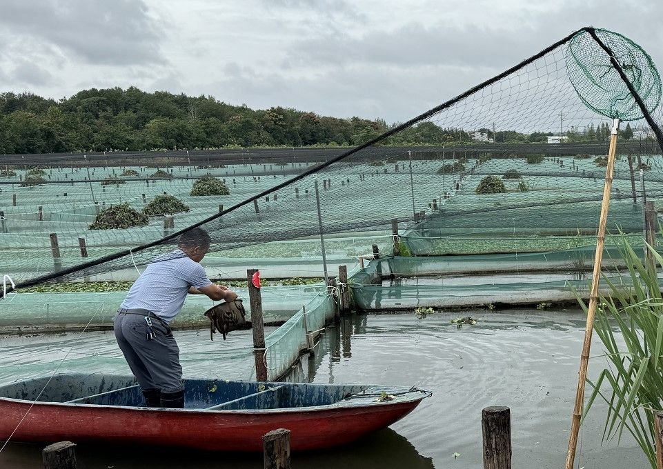 68f5f7336b8e45156f307418_m.jpeg 68f5f7336b8e45156f307418_m.jpeg