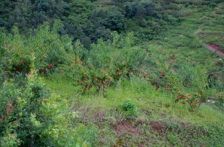 d5cfb63645da47aca4b0c46aaaf5a413.jpg d5cfb63645da47aca4b0c46aaaf5a413.jpg