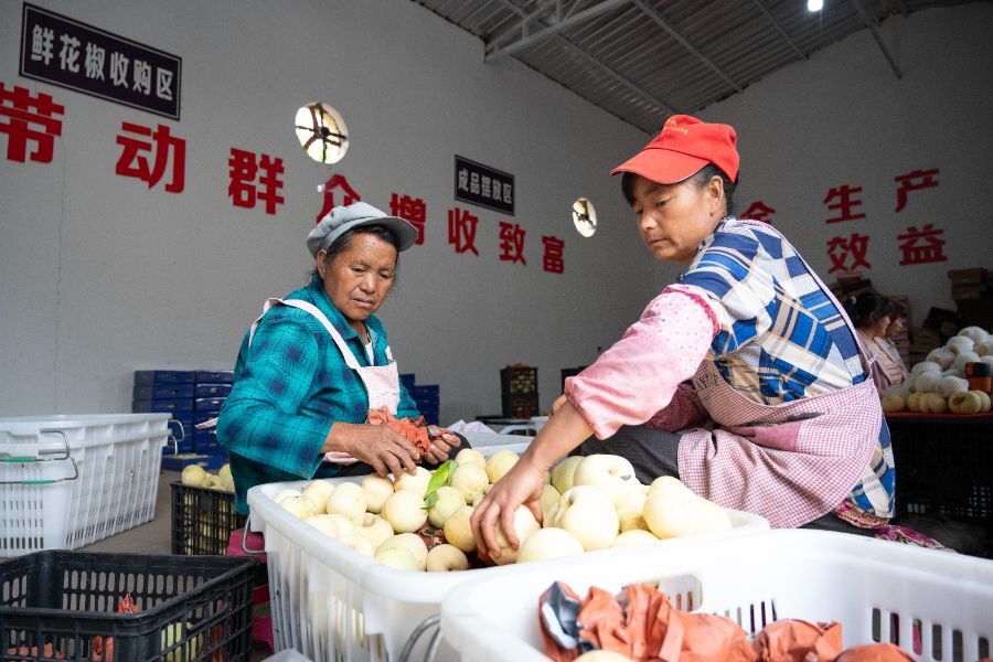 e59e4701baee43d58abb544461274543.jpg e59e4701baee43d58abb544461274543.jpg