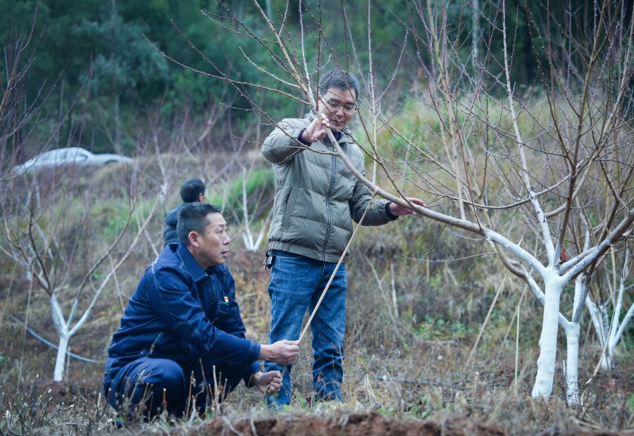 a9a242c8fcaf4cc3b261a13662d5b413.jpg a9a242c8fcaf4cc3b261a13662d5b413.jpg