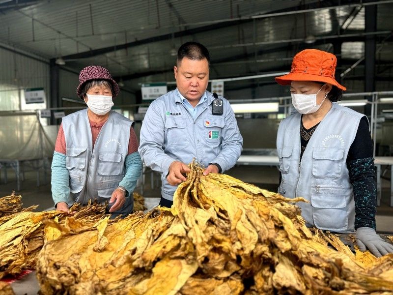 68fae2c26b8e45156f30e7f9_m.jpeg 68fae2c26b8e45156f30e7f9_m.jpeg