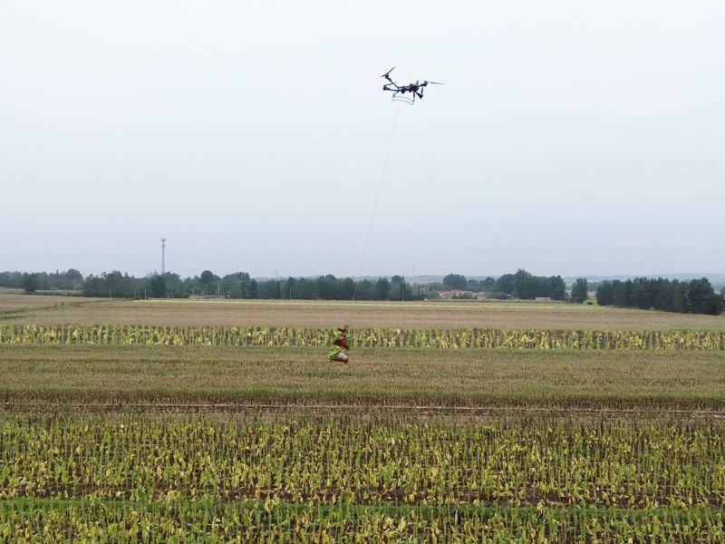無人機(jī)如天降神兵將煙葉運(yùn)出煙田