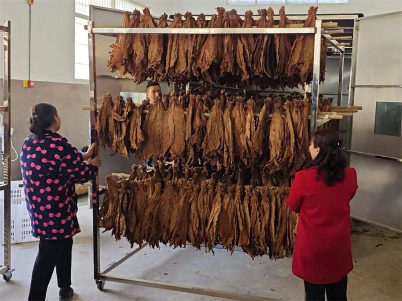 煙葉推入加濕裝置