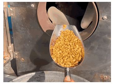 圖片2.png 圖片2.png