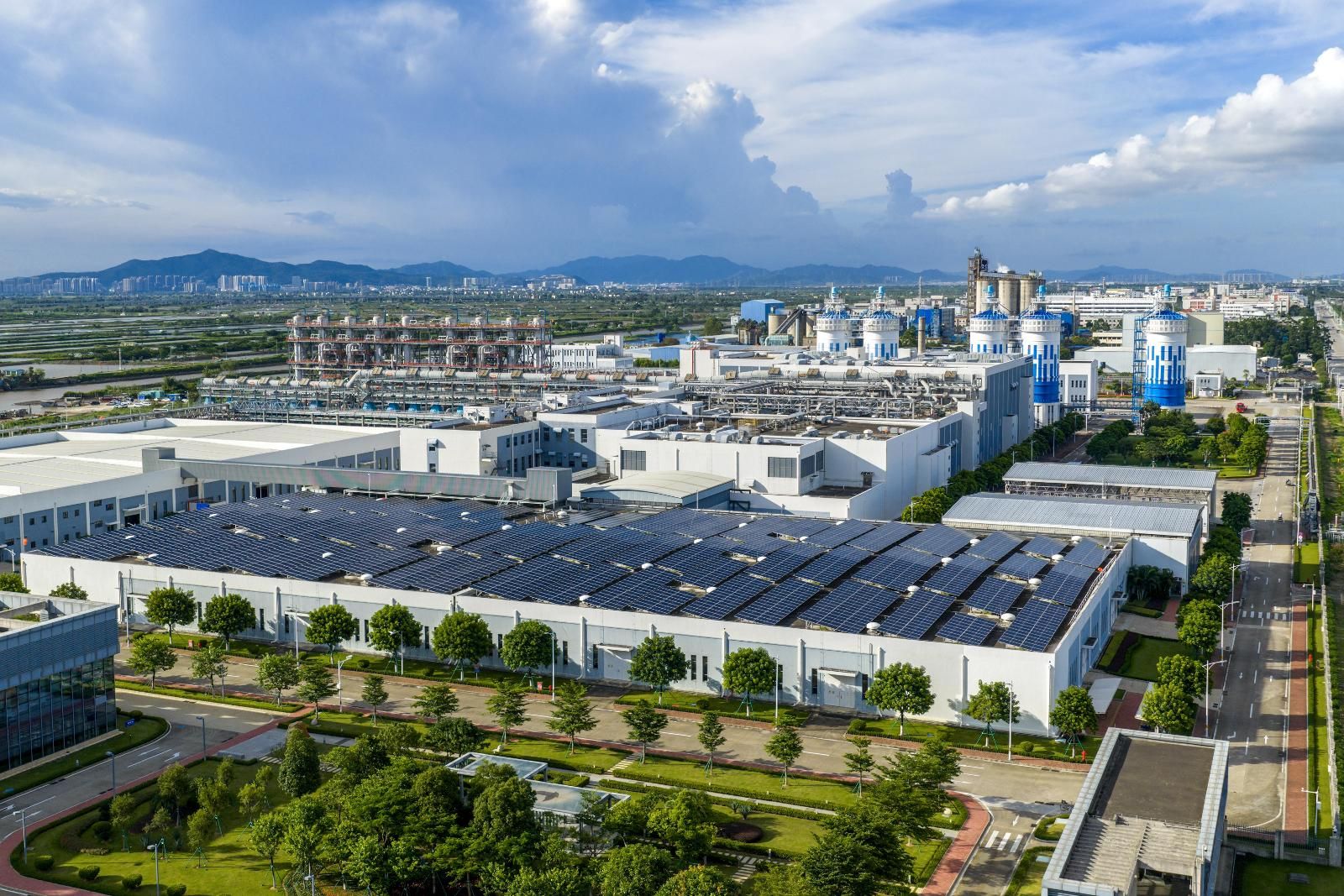 1298051_36143912-35c9-40c3-bfd7-6721e2012832.jpg 1298051_36143912-35c9-40c3-bfd7-6721e2012832.jpg