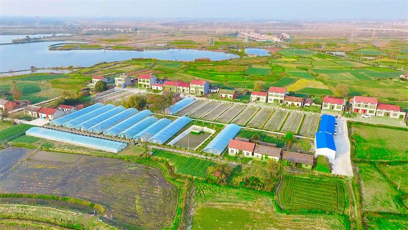 殷河村航拍俯瞰圖