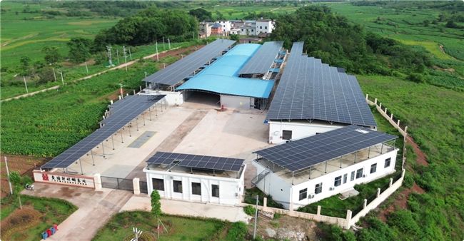 690ef7ce6b8e45156f32da38_m.jpg 690ef7ce6b8e45156f32da38_m.jpg