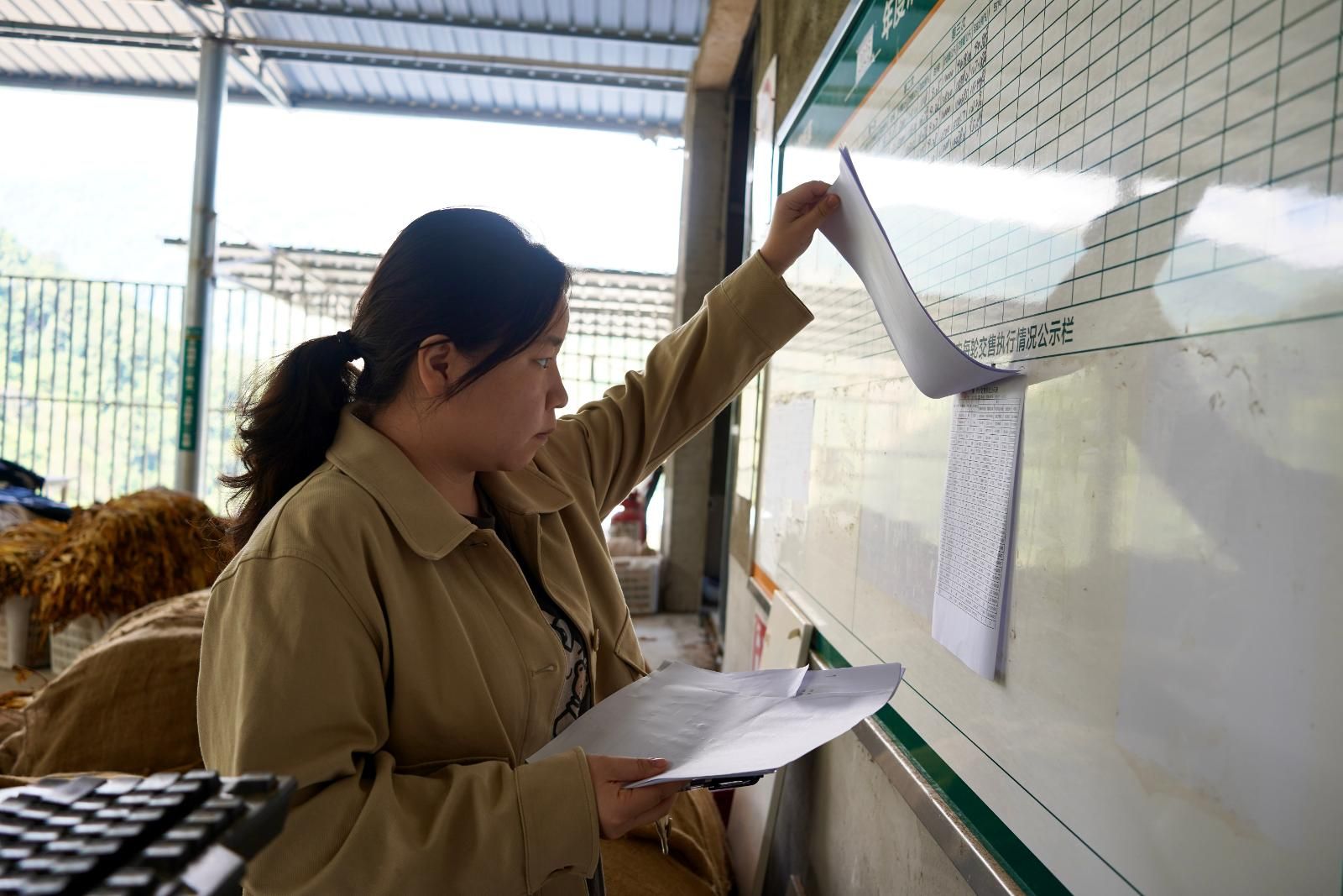 檢查組正查看煙葉站點(diǎn)公開公示情況.JPG