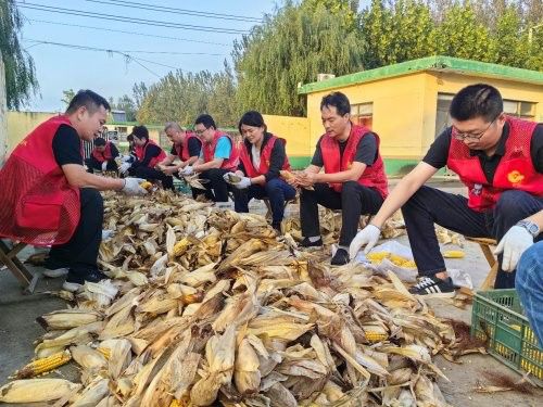 20251124194931666T7378 (1).png