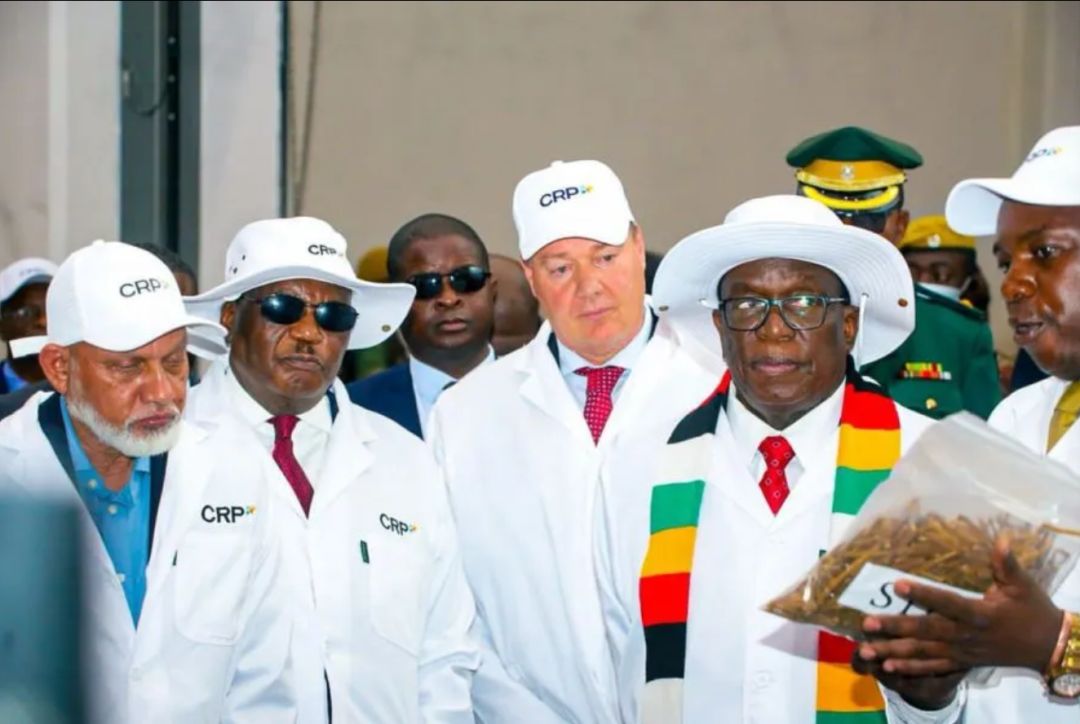 微信圖片_20251203140643.png 微信圖片_20251203140643.png