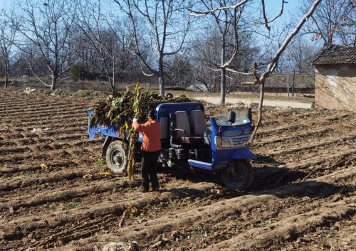 692694826b8e45156f34e78a_m.png 692694826b8e45156f34e78a_m.png