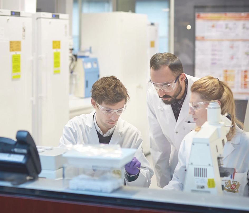 微信圖片_20251204101420.png 微信圖片_20251204101420.png