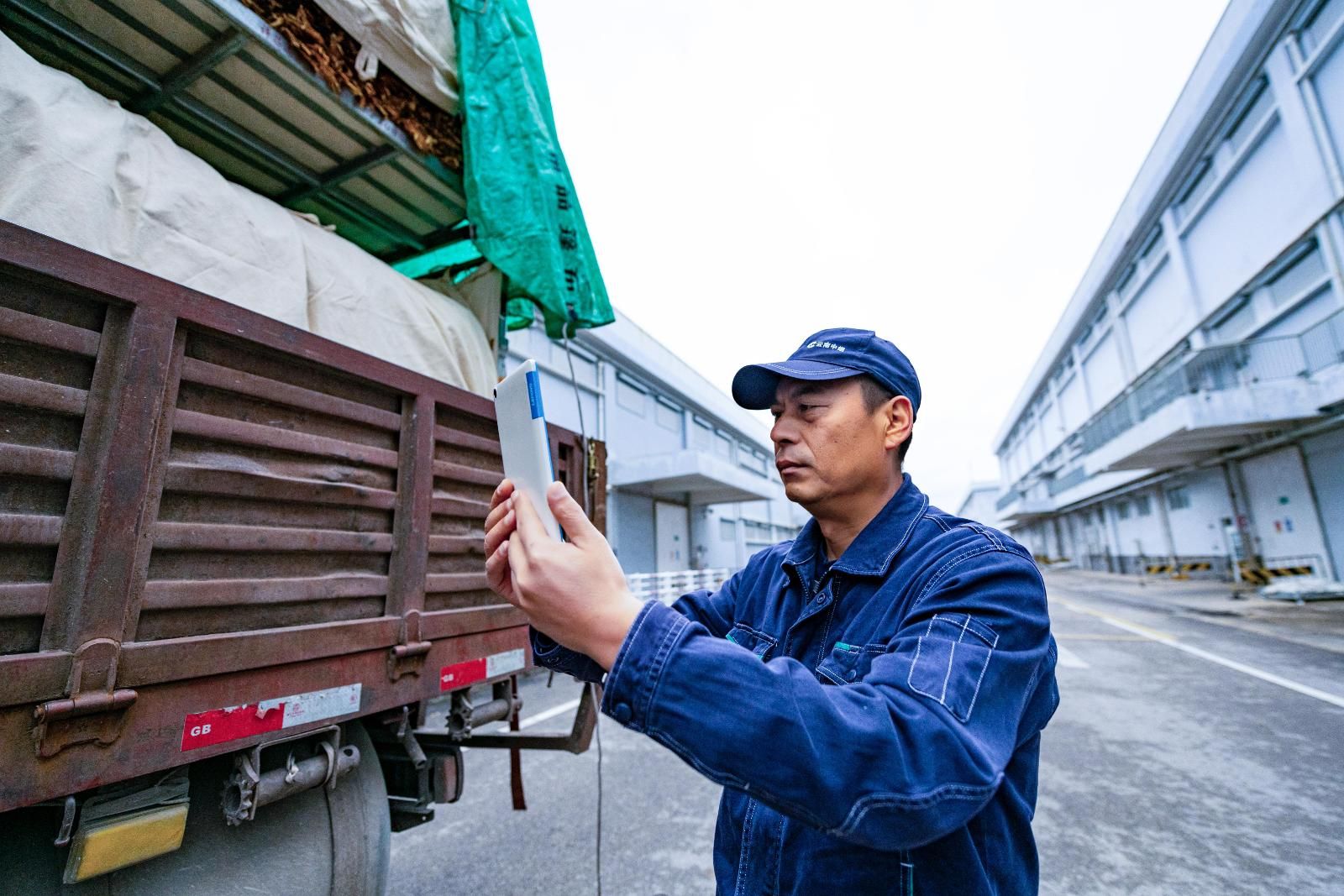 1301602_a3163284-196a-416b-9007-888211f926d7.jpg 1301602_a3163284-196a-416b-9007-888211f926d7.jpg