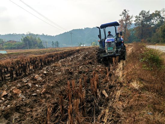 圖為石城縣贛葉煙草種植專業(yè)合作社機耕隊員在湖坑村為煙農(nóng)提供煙田深翻服務