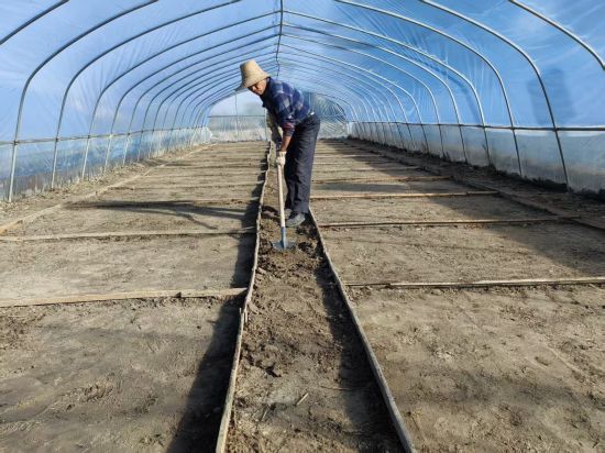 圖為工作人員正在整理育苗池