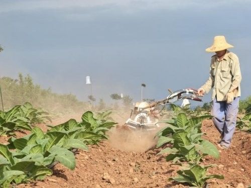 6954bddb6b8e45156f390d9a_m.jpeg 6954bddb6b8e45156f390d9a_m.jpeg