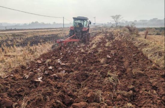 圖為信豐縣西牛金黃煙葉合作社機(jī)耕手正在進(jìn)行冬翻作業(yè)