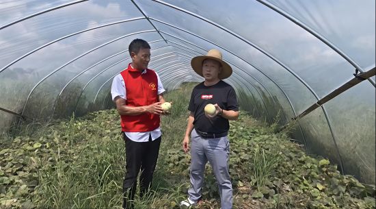 圖為鄉(xiāng)村振興幫扶隊(duì)助農(nóng)直播