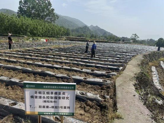 20260120111224995T5025.png 20260120111224995T5025.png