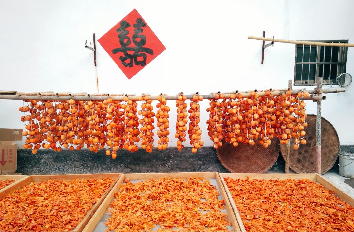 20260122202724686T1202.jpeg 20260122202724686T1202.jpeg