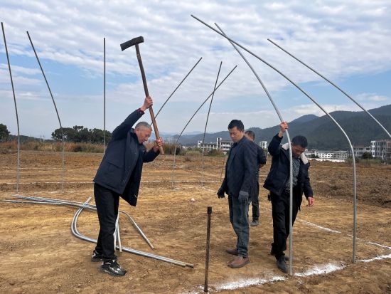 圖為技術(shù)人員正嚴(yán)格按操作規(guī)程對育苗棚架進(jìn)行加固作業(yè)