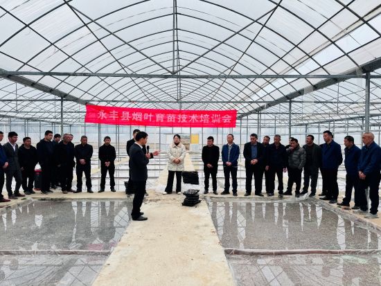 圖為永豐縣煙葉育苗技術(shù)現(xiàn)場培訓(xùn)會