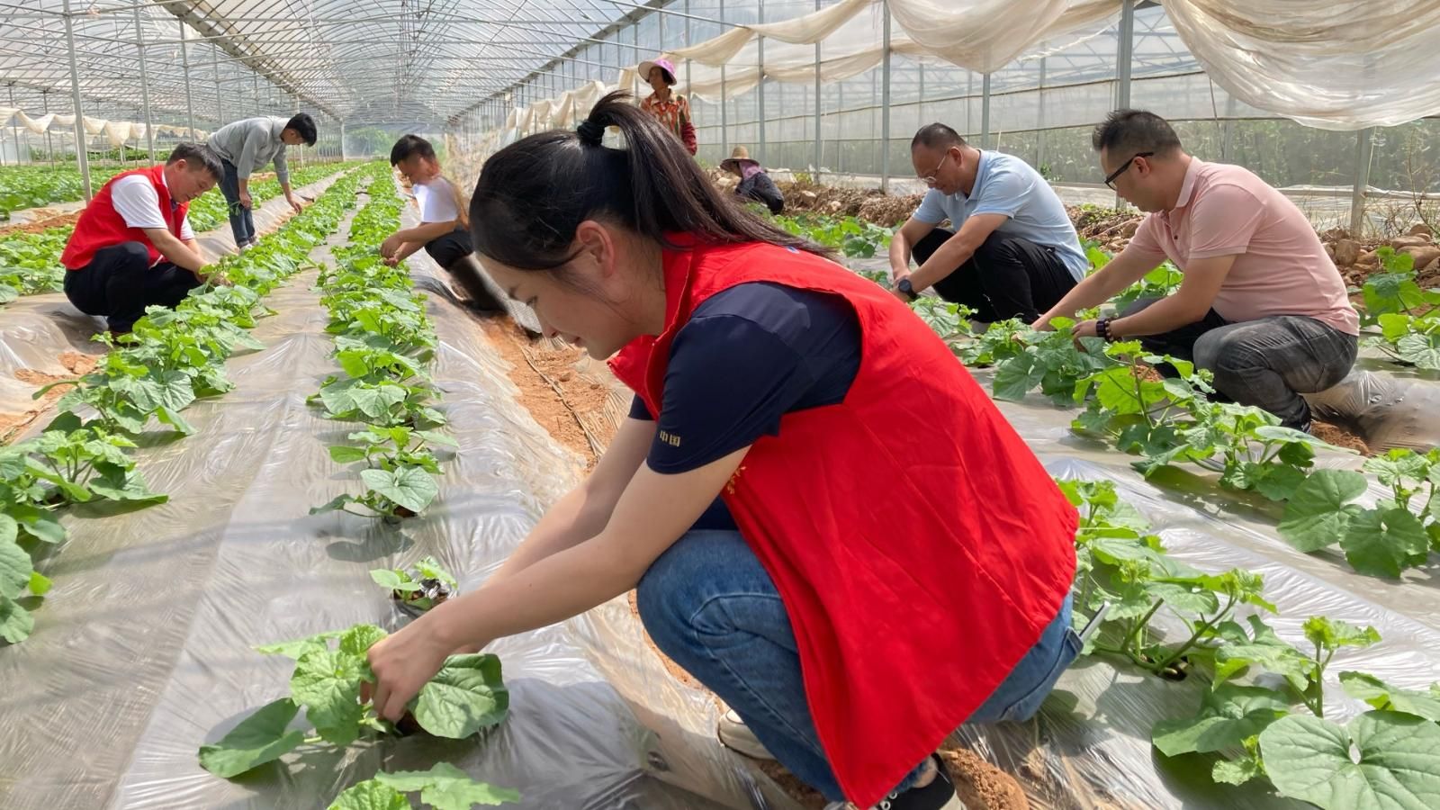 74720afbe5b7656d268e3a741bc19b1.jpg 74720afbe5b7656d268e3a741bc19b1.jpg