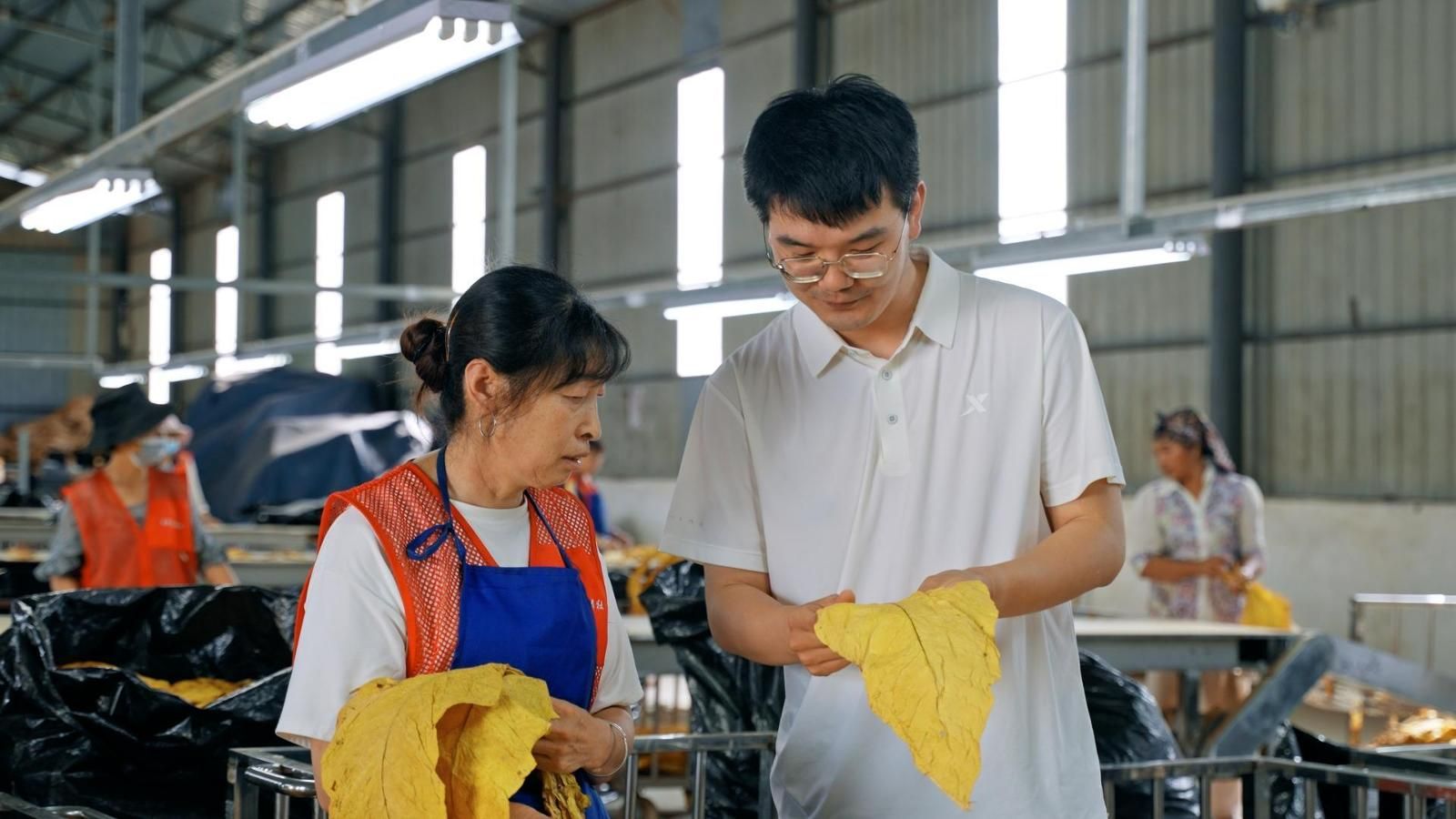 原料采購中心業(yè)務(wù)員知道煙站專業(yè)化分級