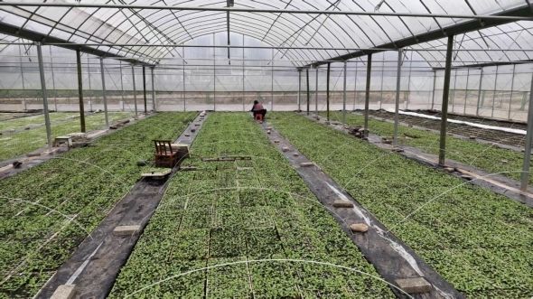 20260227142938317T5890.png 20260227142938317T5890.png