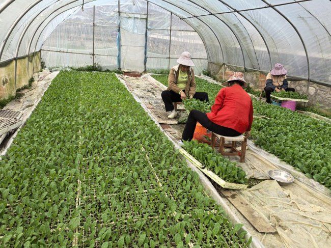 699fe4356b8e2a72c9046a9c_m.jpg 699fe4356b8e2a72c9046a9c_m.jpg