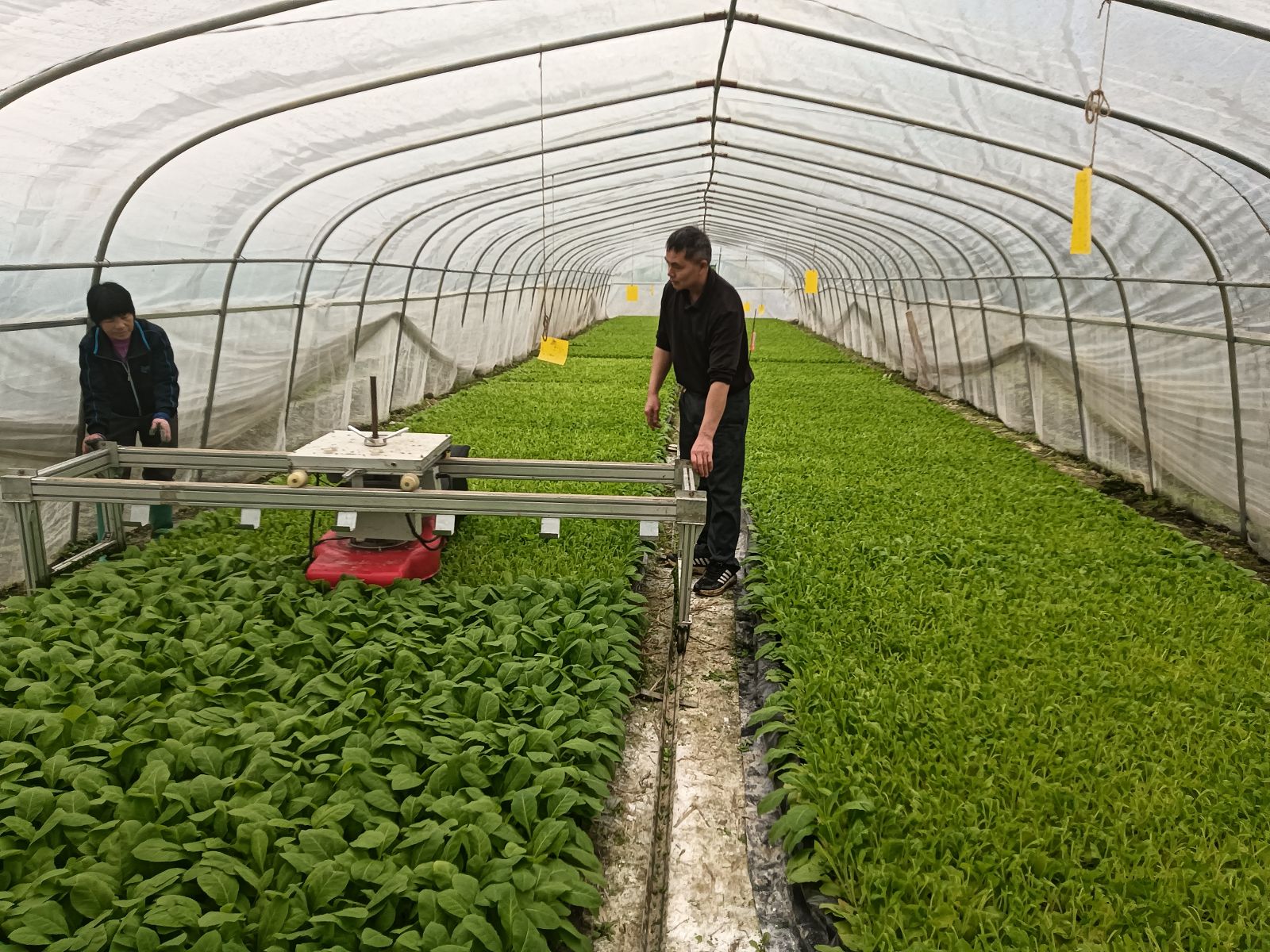 20260228172754246T0001.png 20260228172754246T0001.png