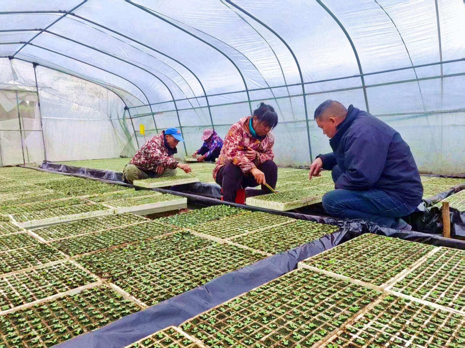 20260228172803498T4913.png 20260228172803498T4913.png