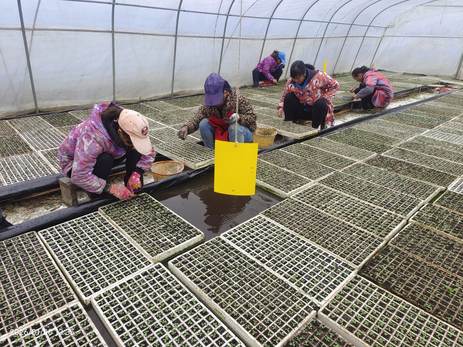 20260228172817304T5937.png 20260228172817304T5937.png