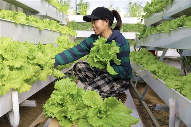 69bbb4ef6b8e2a72c9067075_m.jpg 69bbb4ef6b8e2a72c9067075_m.jpg